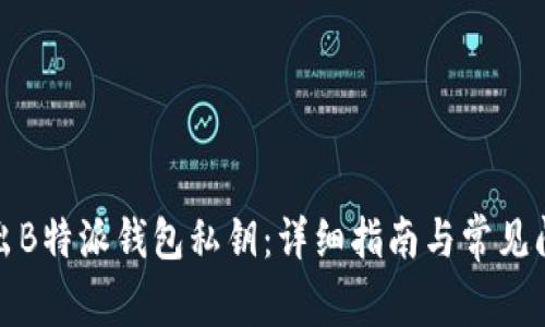 如何导出B特派钱包私钥:详细指南与常见问题解答