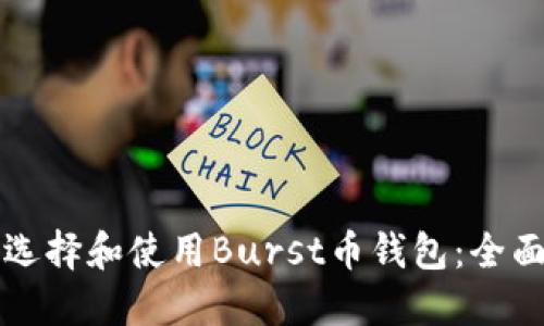 如何选择和使用Burst币钱包:全面指南
