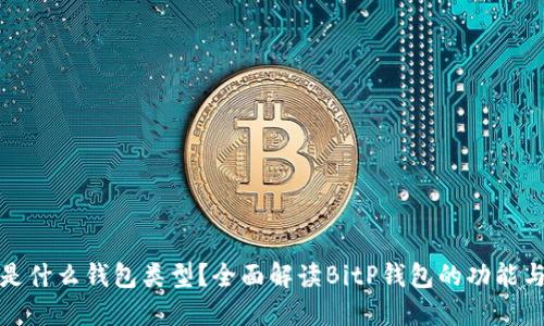 BitP是什么钱包类型?全面解读BitP钱包的功能与优势