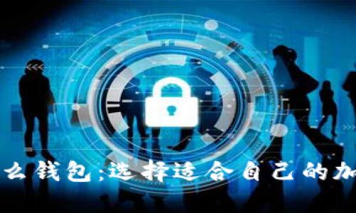 比特时代使用什么钱包:选择适合自己的加密货币钱包指南