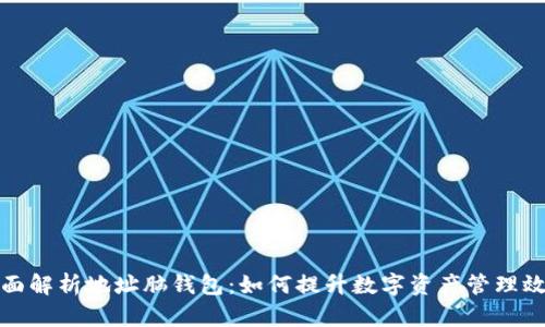 全面解析地址脑钱包:如何提升数字资产管理效率