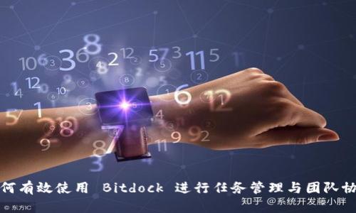如何有效使用 Bitdock 进行任务管理与团队协作