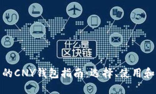 最全面的CNY钱包指南:选择、使用和安全性