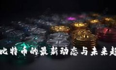 中国对比特币的最新动态与未来趋势分