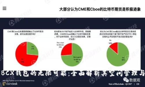 探索BCX钱包的无限可能:全面解析其空间管理与应用