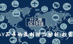 TOPAY买币的盈利潜力分析：投资需知