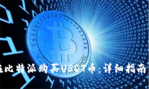 如何在比特派购买USDT币:详细指南与技巧