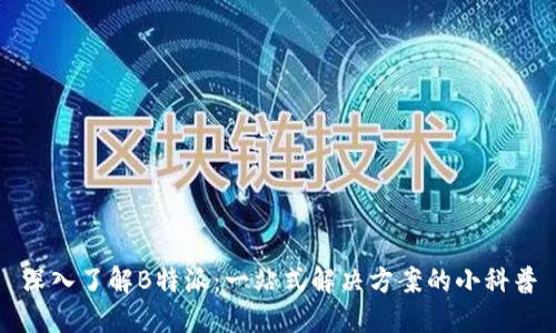 深入了解B特派:一站式解决方案的小科普