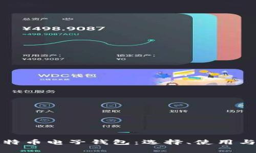 全面解析比特币电子钱包:选择、使用与安全性指南