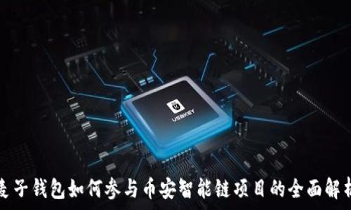 麦子钱包如何参与币安智能链项目的全面解析