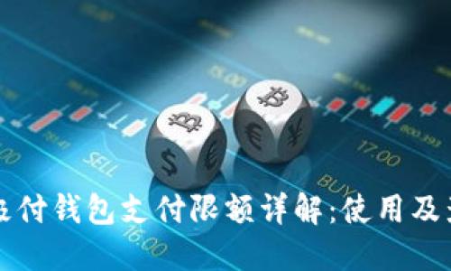 比特币极付钱包支付限额详解:使用及影响因素