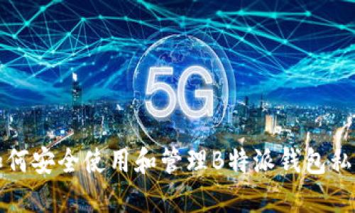 如何安全使用和管理B特派钱包私钥
