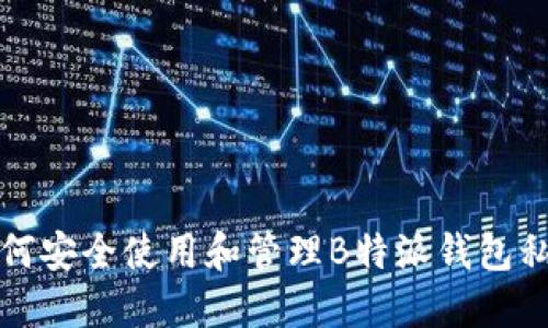 如何安全使用和管理B特派钱包私钥