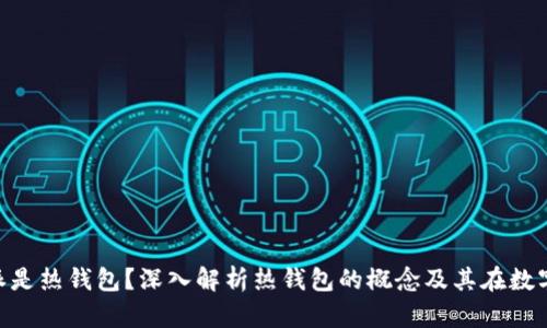 为什么说B特派是热钱包?深入解析热钱包的概念及其在数字货币中的作用