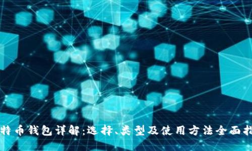 比特币钱包详解:选择、类型及使用方法全面指南