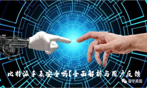 比特派手表安全吗?全面解析与用户反馈
