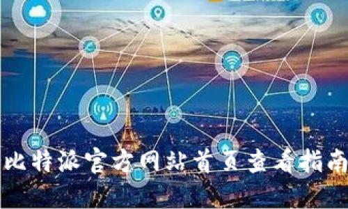 比特派官方网站首页查看指南