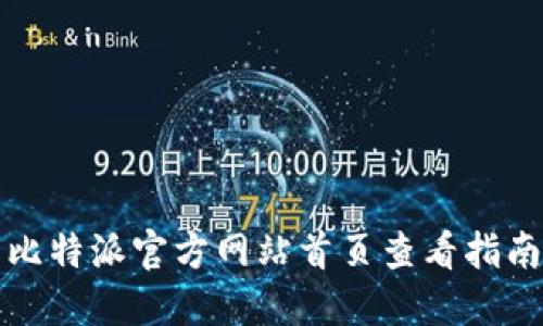 比特派官方网站首页查看指南