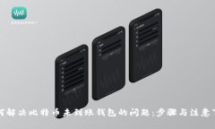 如何解决比特币未到账钱包的问题：步