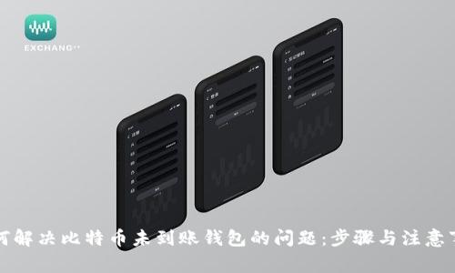 如何解决比特币未到账钱包的问题:步骤与注意事项