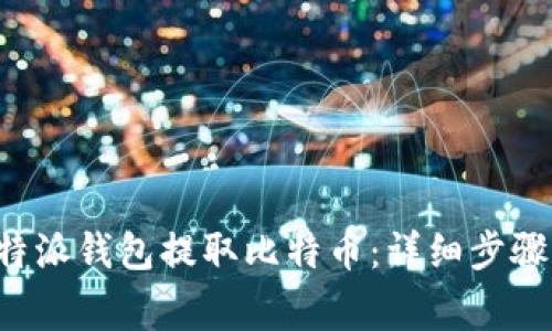 如何通过B特派钱包提取比特币:详细步骤与注意事项