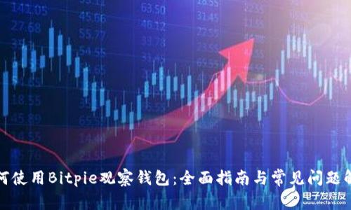 如何使用Bitpie观察钱包:全面指南与常见问题解答