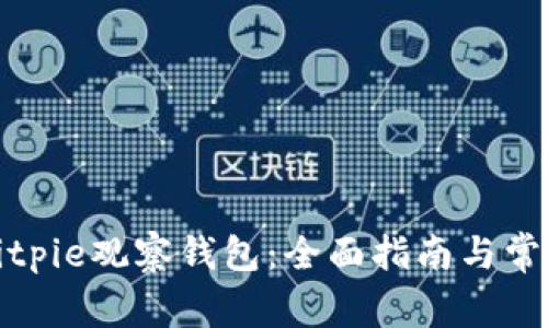 如何使用Bitpie观察钱包:全面指南与常见问题解答
