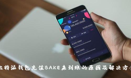 比特派钱包充值BAKE未到账的原因及解决方案