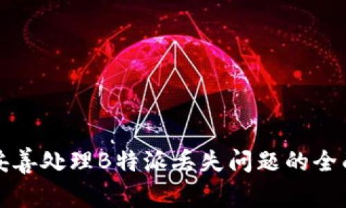如何妥善处理B特派丢失问题的全面指南