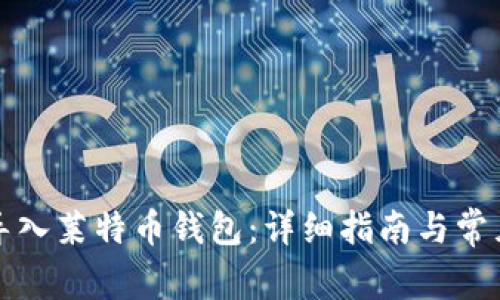 如何安全导入莱特币钱包:详细指南与常见问题解析