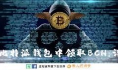 如何在比特派钱包中领取BCH：详细指南