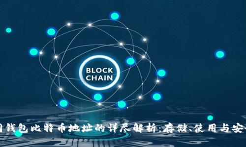 不同钱包比特币地址的详尽解析:存储、使用与安全性