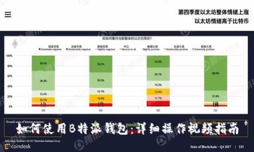 如何使用B特派钱包:详细操作视频指南