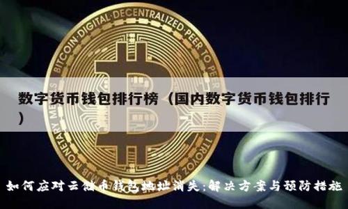 如何应对云储币钱包地址消失:解决方案与预防措施