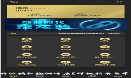 如何查询B特派授权检测进度?详细指南与常见问题解答