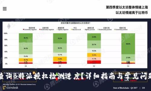 如何查询B特派授权检测进度?详细指南与常见问题解答
