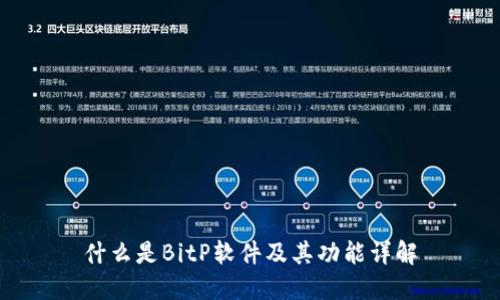 什么是BitP软件及其功能详解