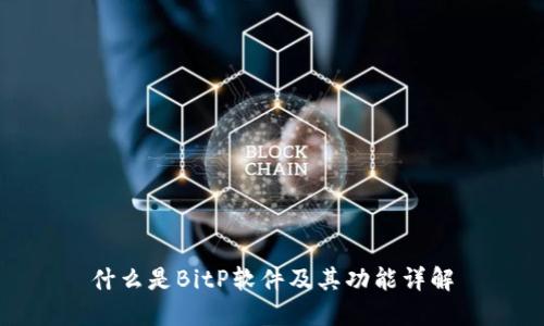 什么是BitP软件及其功能详解