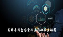 莱特币钱包容量及其影响因素解析