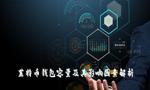 莱特币钱包容量及其影响因素解析