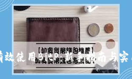 如何有效使用BitP:新手指南与实用技巧