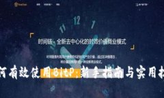 如何有效使用BitP：新手指南与实用技