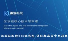 如何识别和选择BTS假钱包：详细指南与