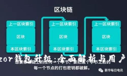 Trezor钱包升级:全面解析与用户指南