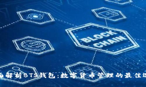 全面解析BTS钱包:数字货币管理的最佳选择