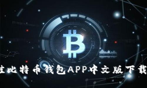 2023年最佳比特币钱包APP中文版下载及使用指南