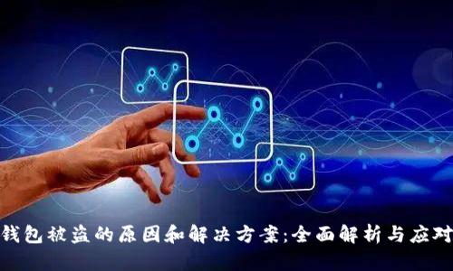狐狸钱包被盗的原因和解决方案:全面解析与应对措施