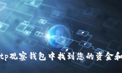 如何在Bitp观察钱包中找到您的资金和交易记录