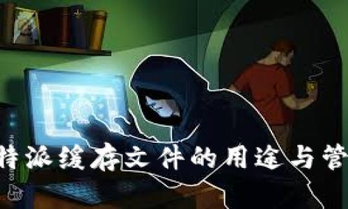 详解B特派缓存文件的用途与管理方法