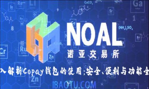 深入解析Copay钱包的使用:安全、便利与功能全解